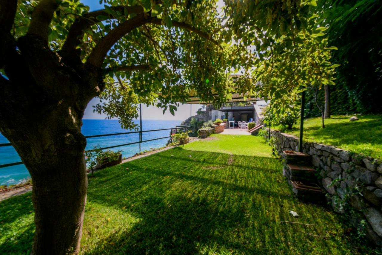 Villa Alcado Copanello Zewnętrze zdjęcie